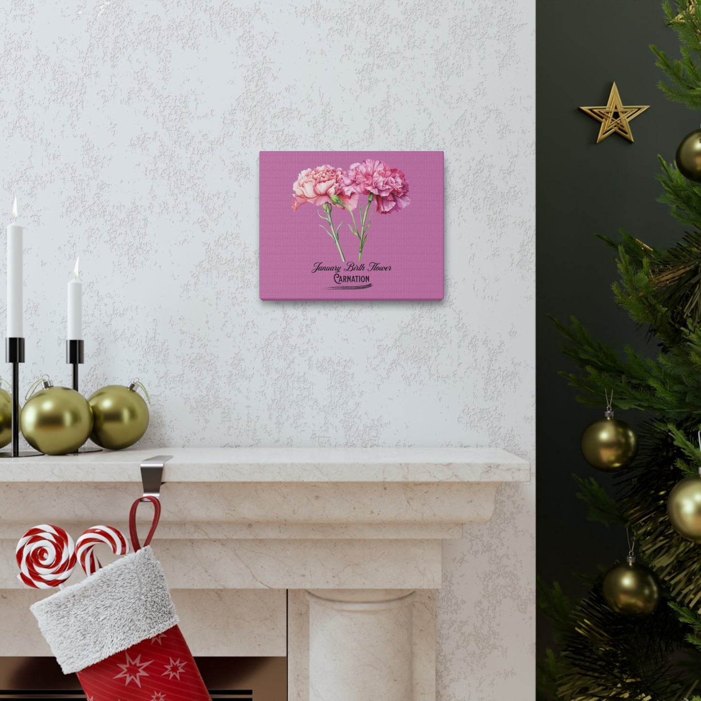 January Birth Flower (Carnation): Canvas Gallery Wraps