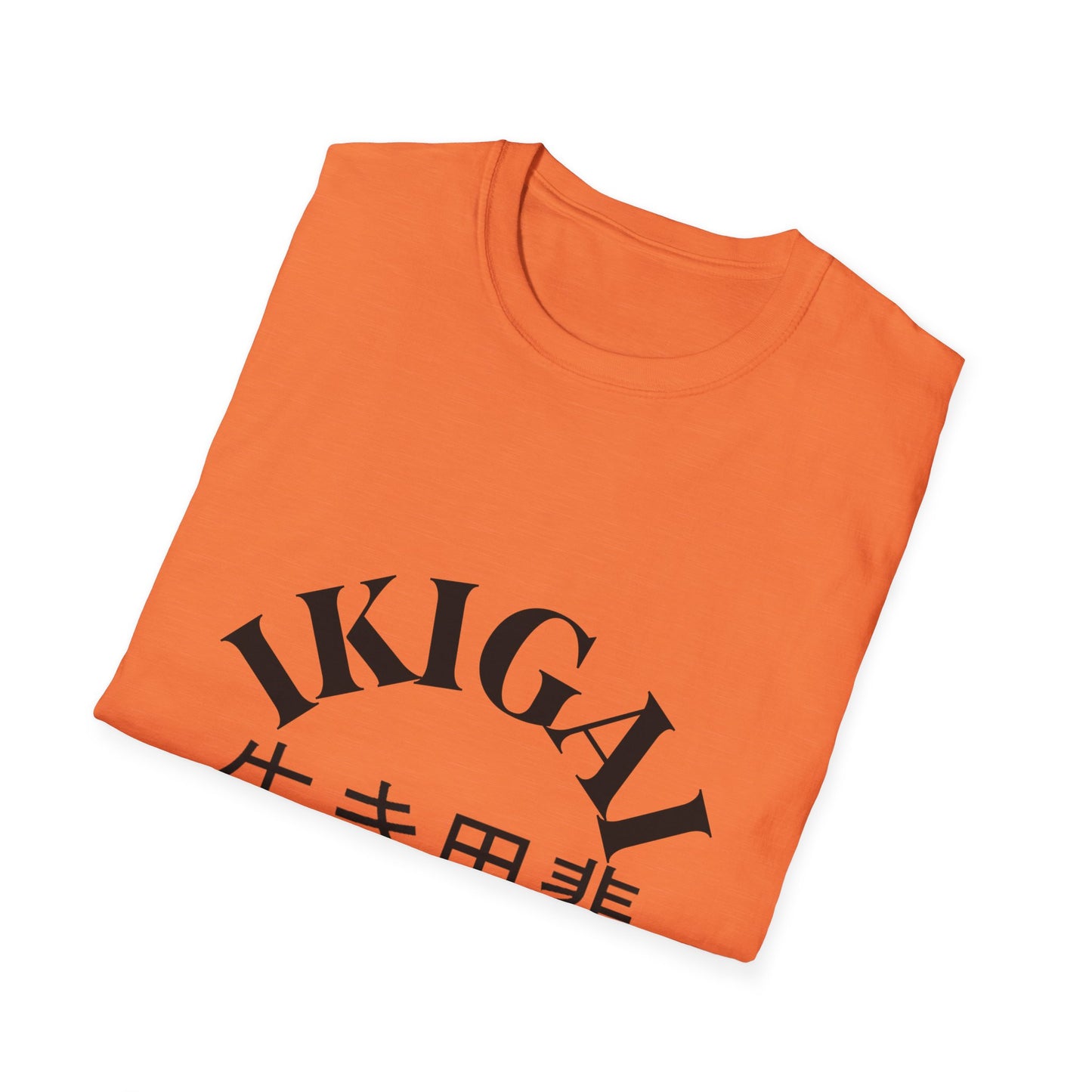 Ikigai T-shirt - Unisex Softstyle