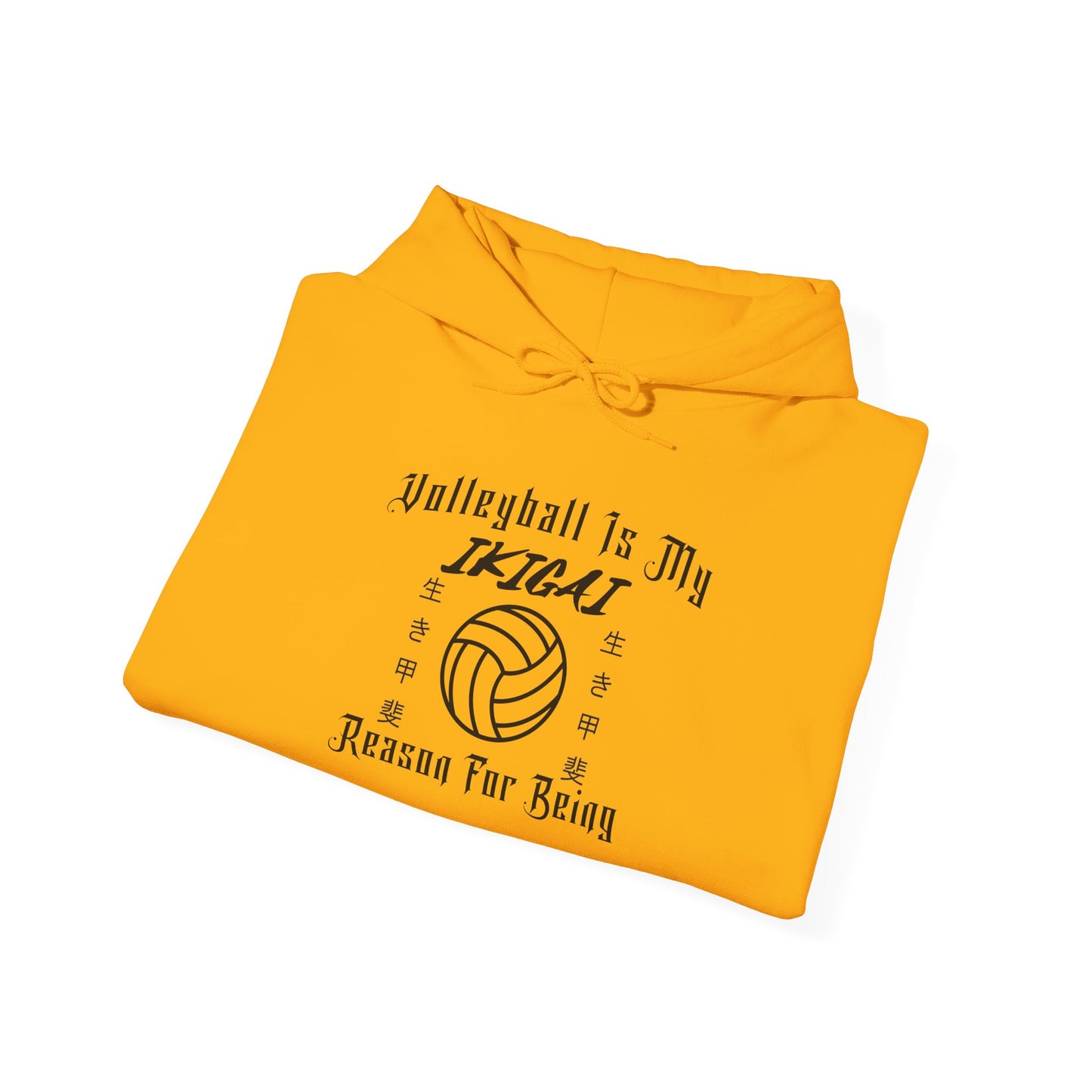 Volleyball Is My IKIGAI: Unisex Heavy Blend™ Hooded Sweatshirt