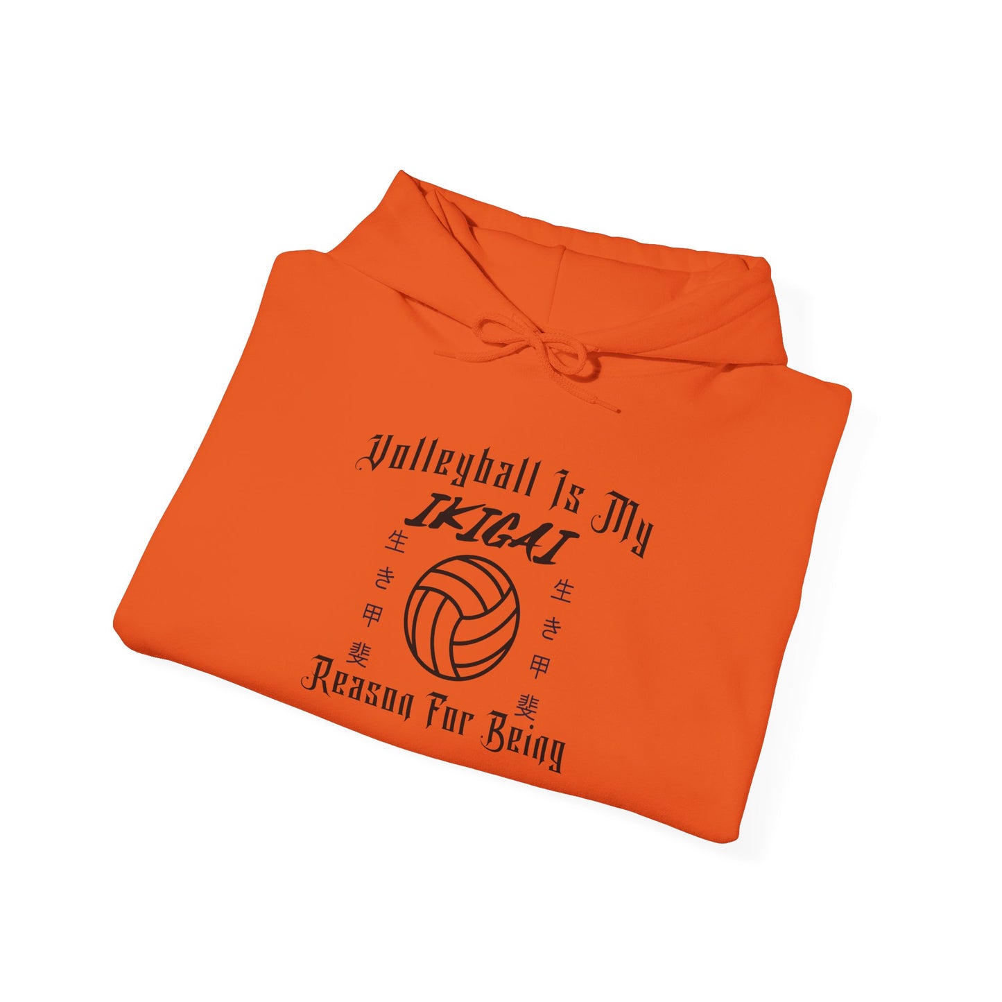 Volleyball Is My IKIGAI: Unisex Heavy Blend™ Hooded Sweatshirt