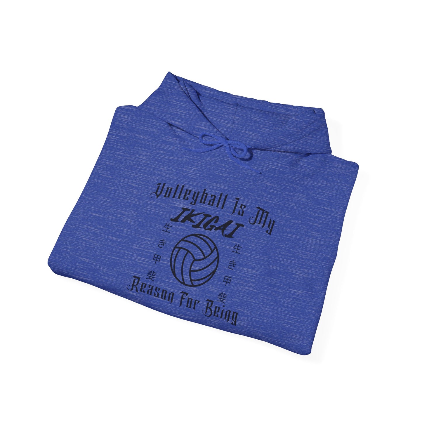 Volleyball Is My IKIGAI: Unisex Heavy Blend™ Hooded Sweatshirt