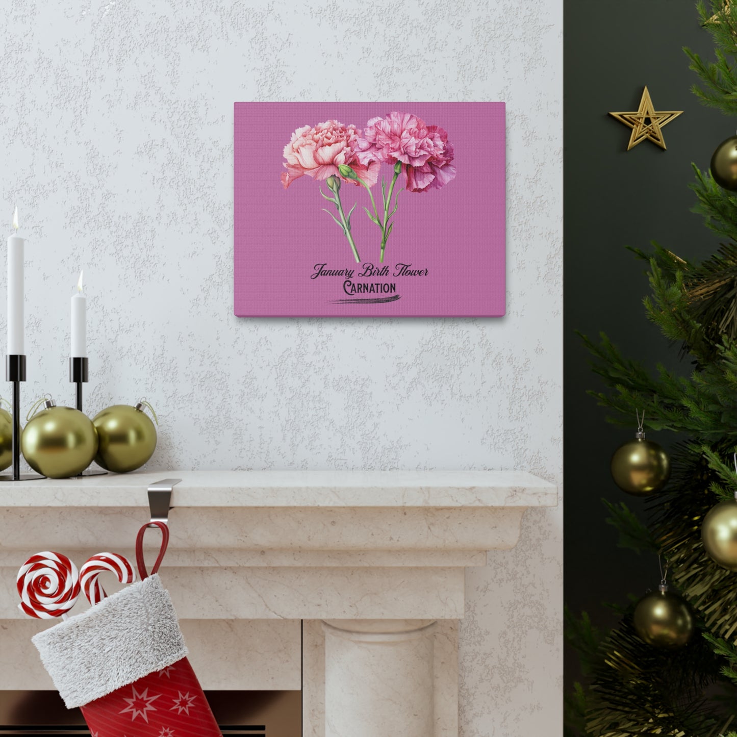 January Birth Flower (Carnation): Canvas Gallery Wraps