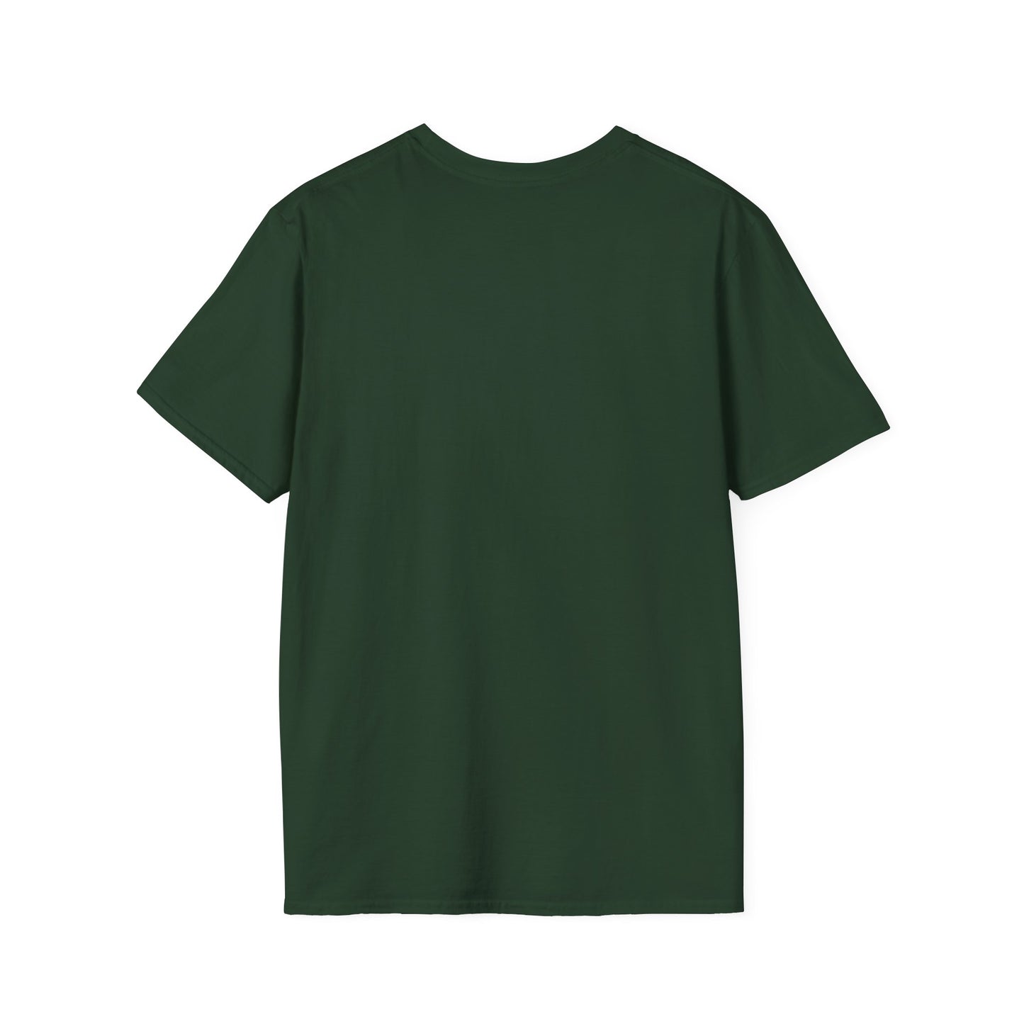 Rise Up And Create Unisex Softstyle T-Shirt, Motivational Tee, Inspirational Shirt, Artist Gift, Graphic Tee, Creative Apparel