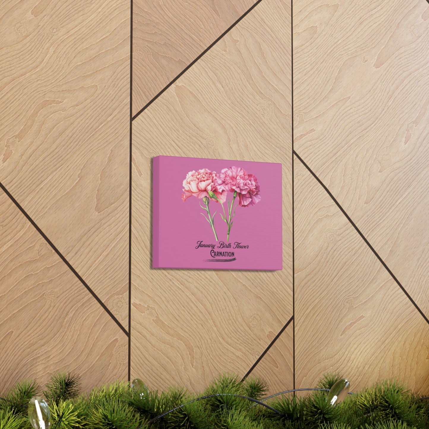 January Birth Flower (Carnation): Canvas Gallery Wraps