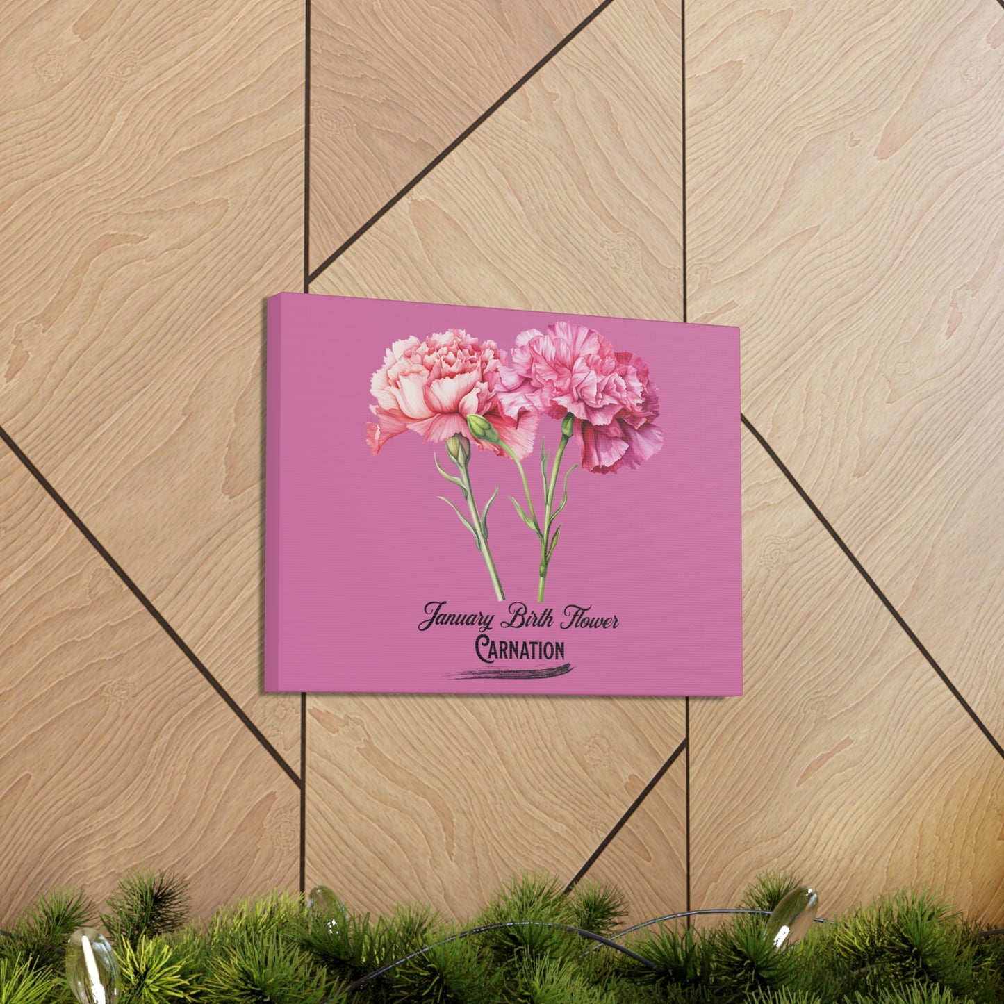 January Birth Flower (Carnation): Canvas Gallery Wraps